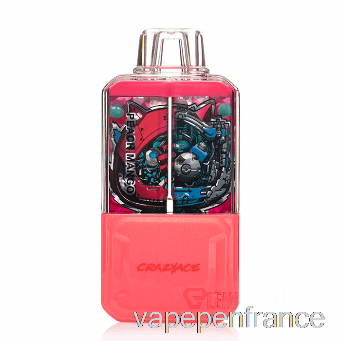 Stylo Vape Jetable Crazyace B15000 Pêche Mangue